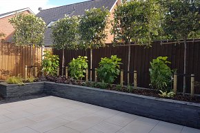 Raised planter clad in Marshalls Stoneface with pleached photinia